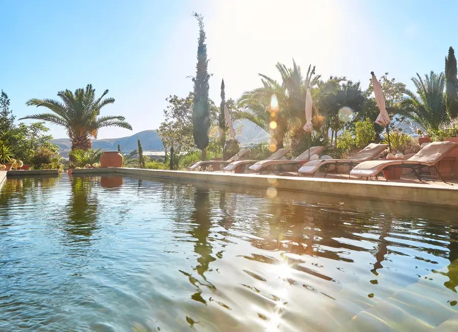 Infinity pool & palms